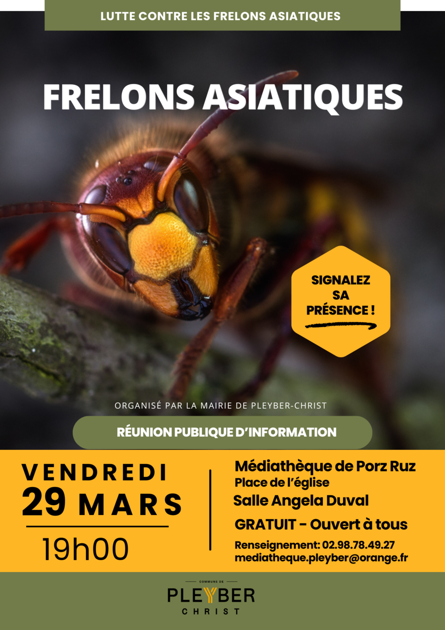 Réunion publique afin de lutter contre la présence du frelon asiatique